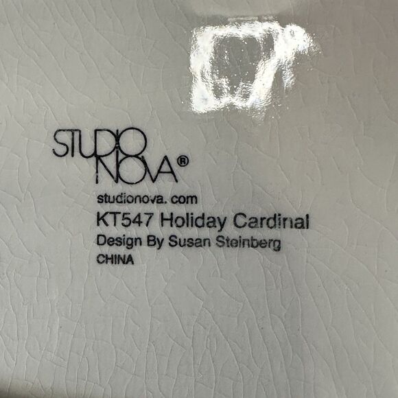 Studio Nova Holiday Cardinal Christmas 20" Oval Serving Platter KT547 Vintage - Picture 5 of 15